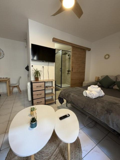 Saint-Pierre Studio - Apartment mit 1 Schlafzimmer - 16