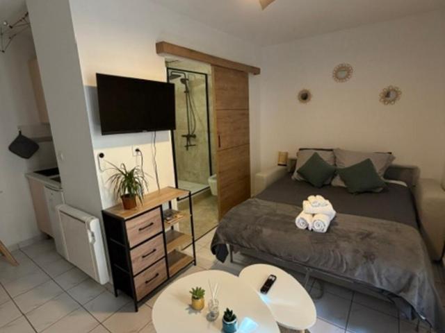 Saint-Pierre Studio - Apartment mit 1 Schlafzimmer - 17