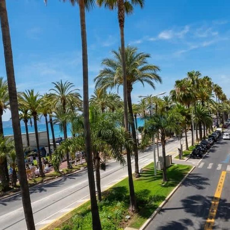 Luxury Croisette Apartment Terrace - Appartement 2 Chambres - 19