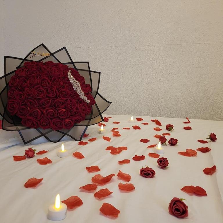 Royal Night & Private Sauna, Lorgues Historic Center - Appartement 1 Chambre - 14