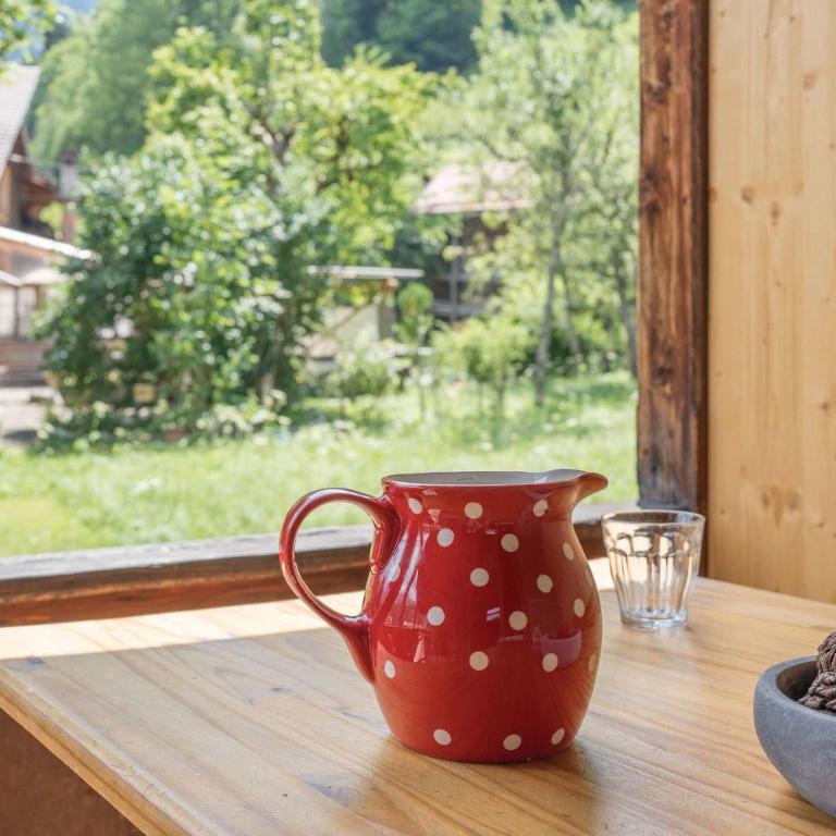 Mountain View Chalet near Lauterbrunnen and Parking - Apartment - 12