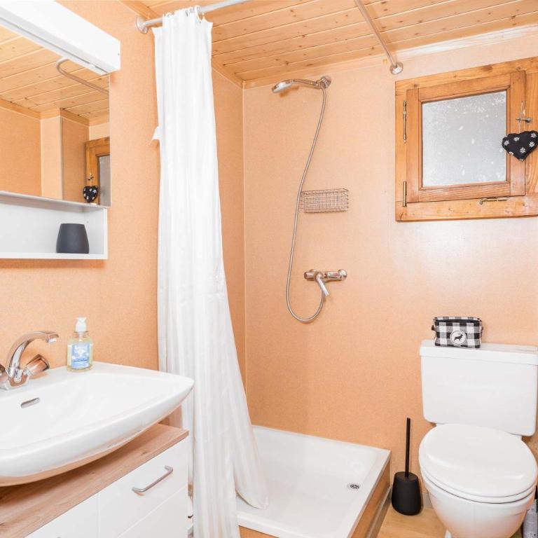 Mountain View Chalet near Lauterbrunnen and Parking - Apartment - 15