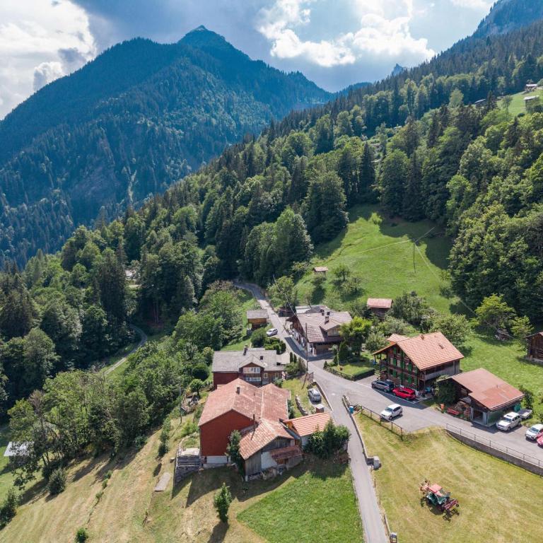 Mountain View Chalet near Lauterbrunnen and Parking - Apartment - 21