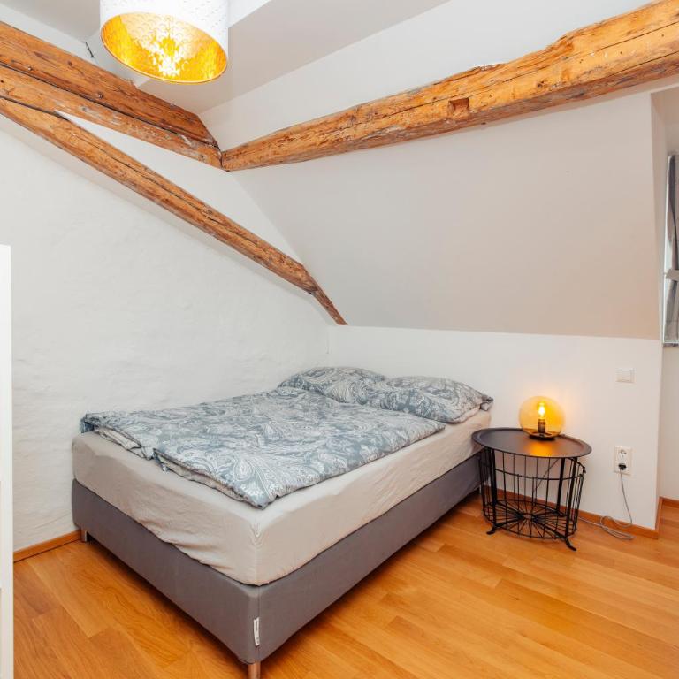 Haus Spiegel - Cramergasse, Lindau Insel - Appartamento Attico - 26
