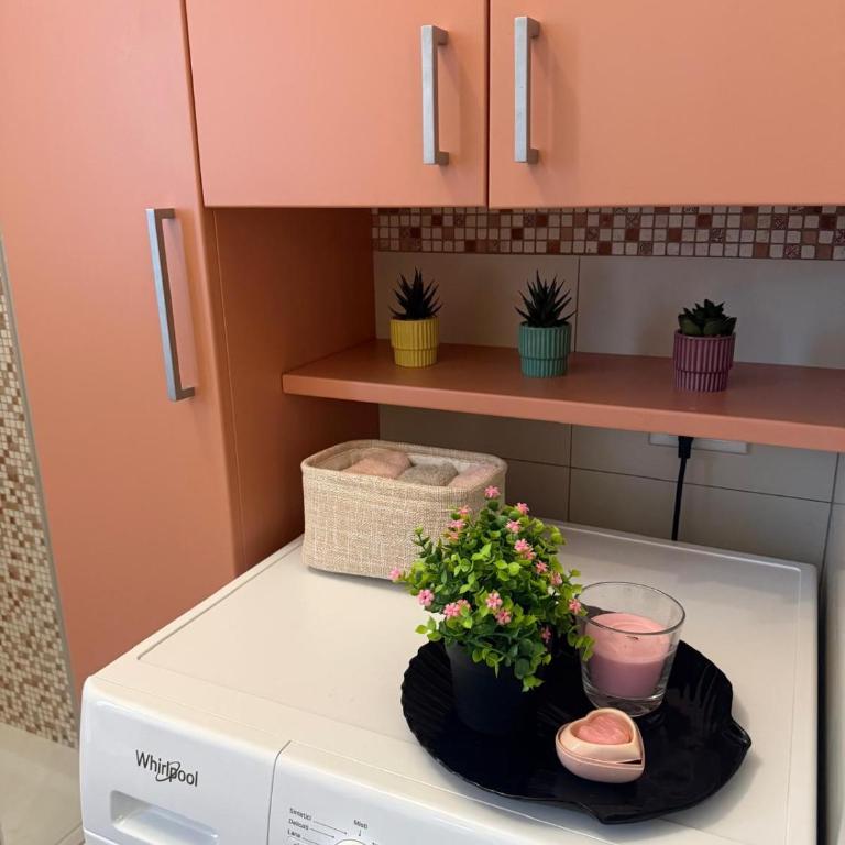 Camelia house - Appartamento con 3 Camere da Letto - 22