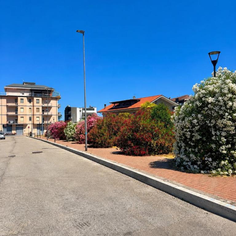 Camelia house - Appartamento con 3 Camere da Letto - 9