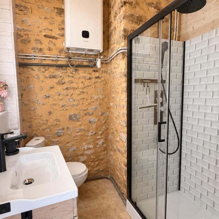 Le Petit Sarlat studio in city center - Apartment mit 1 Schlafzimmer - 3