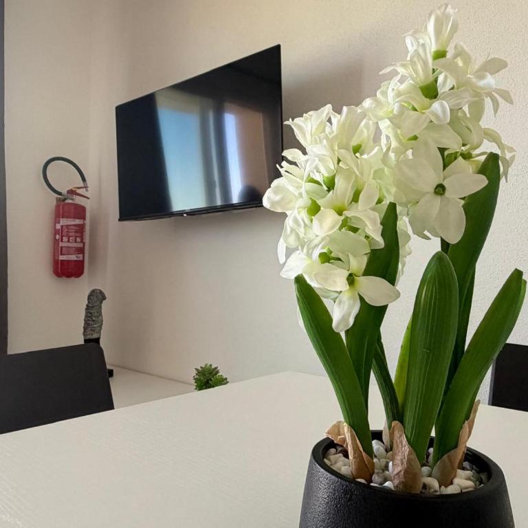 Nuovo appartamento con piscina, giardino e vista mare - Appartamento - 12