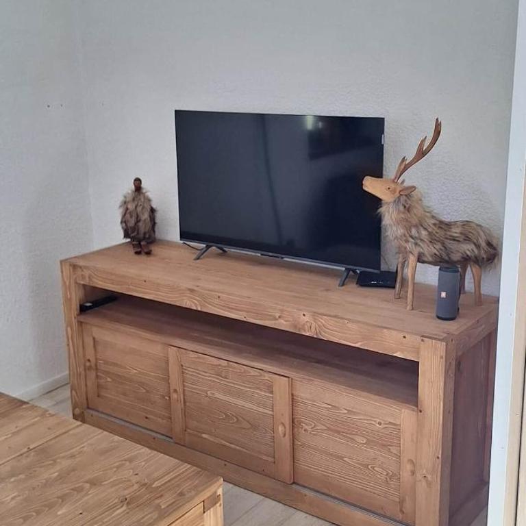 trip des neiges - Appartement - 2