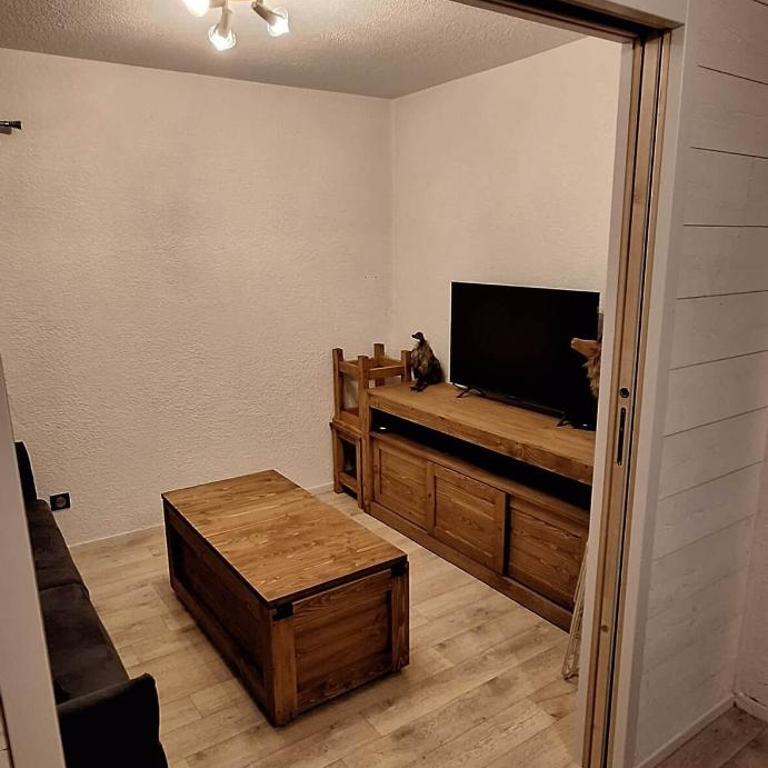 trip des neiges - Appartement - 9