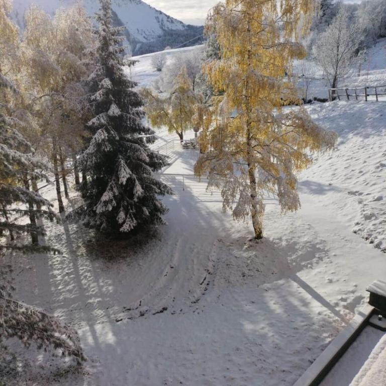 trip des neiges - Appartement - 18