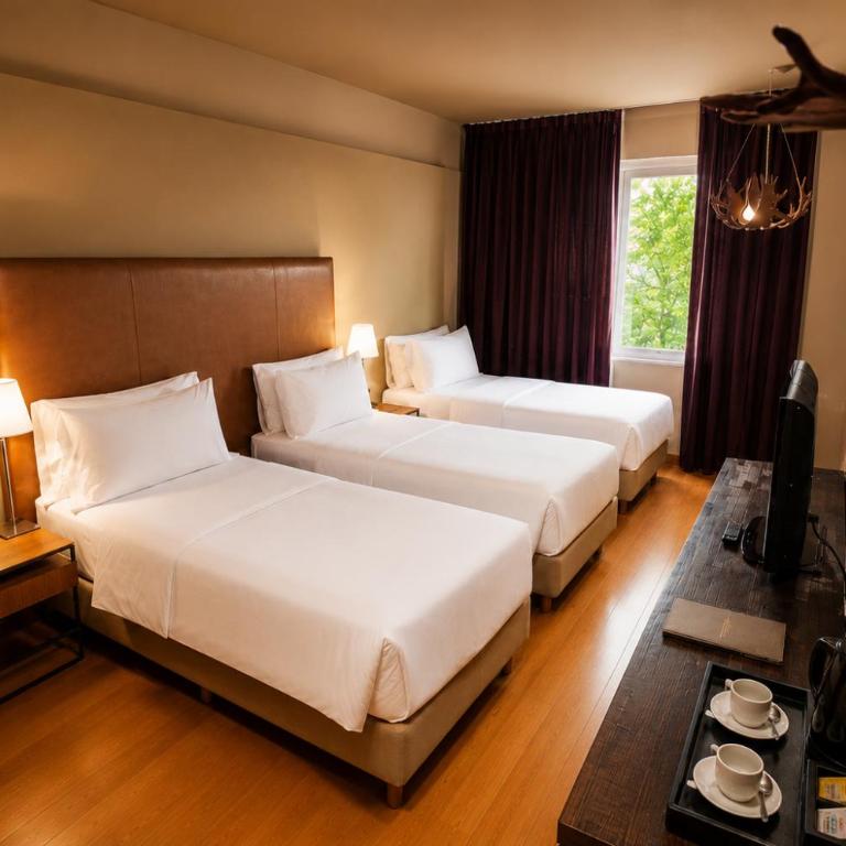 Esplendor by Wyndham El Calafate - Habitación Triple - 1