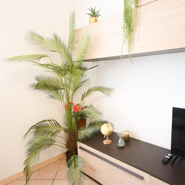 Ponte Pietra Free parking for 5 guests - Appartamento con 1 Camera da Letto e Vista Città - 8