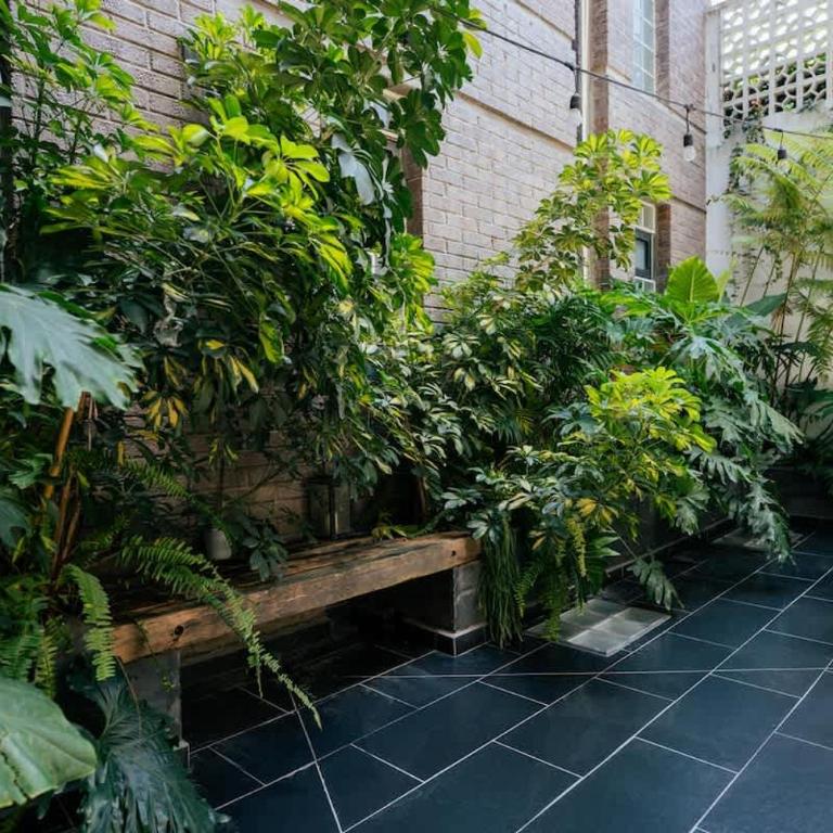 Bright 2BR condo with Stunning Patio in Escandon - Apartment - 10