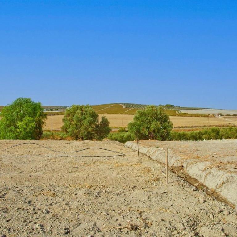 Casa Rural Viña Romanito Jerez de la Frontera by Ruralidays - Maison 5 Chambres - 32