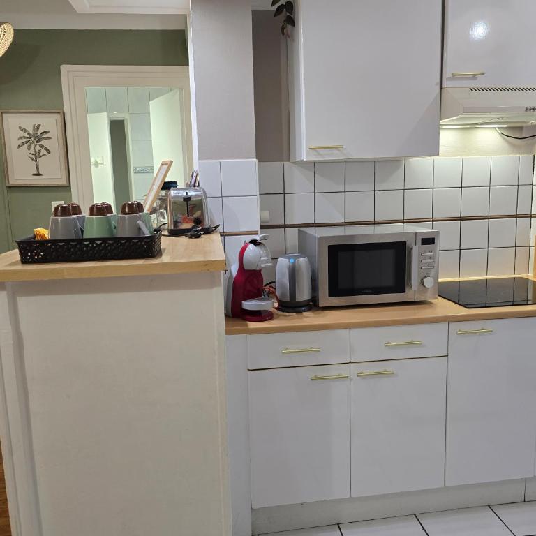 Jungl'Appart 2 chambres gare et centre - Garage inclus - Appartement 2 Chambres - 15