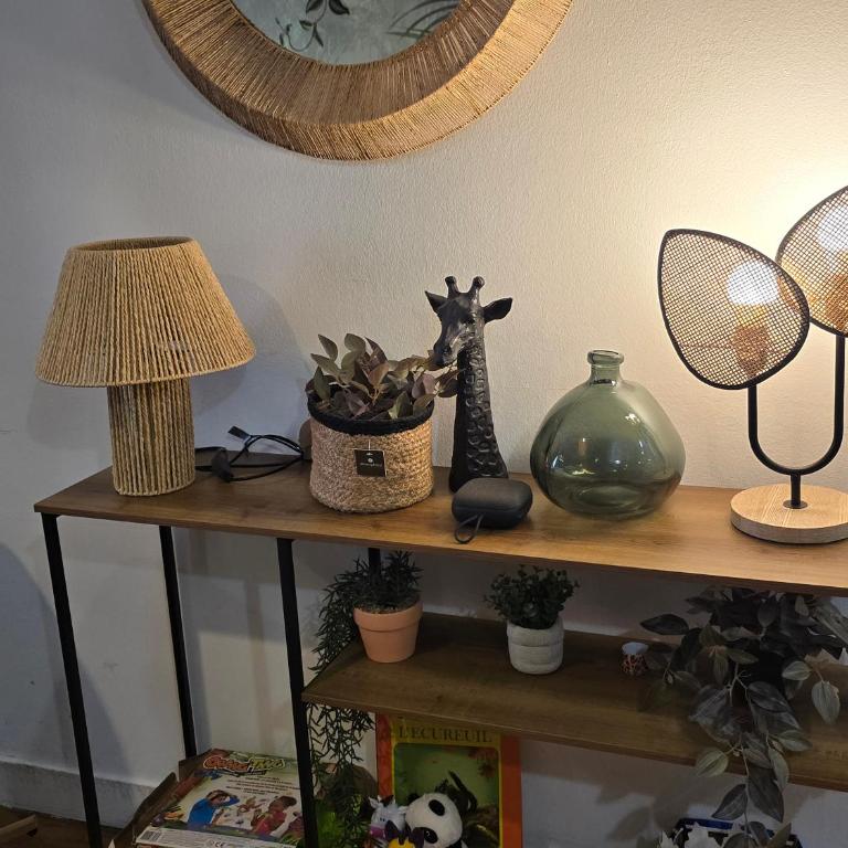 Jungl'Appart 2 chambres gare et centre - Garage inclus - Appartement 2 Chambres - 10