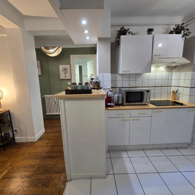 Jungl'Appart 2 chambres gare et centre - Garage inclus - Appartement 2 Chambres - 18
