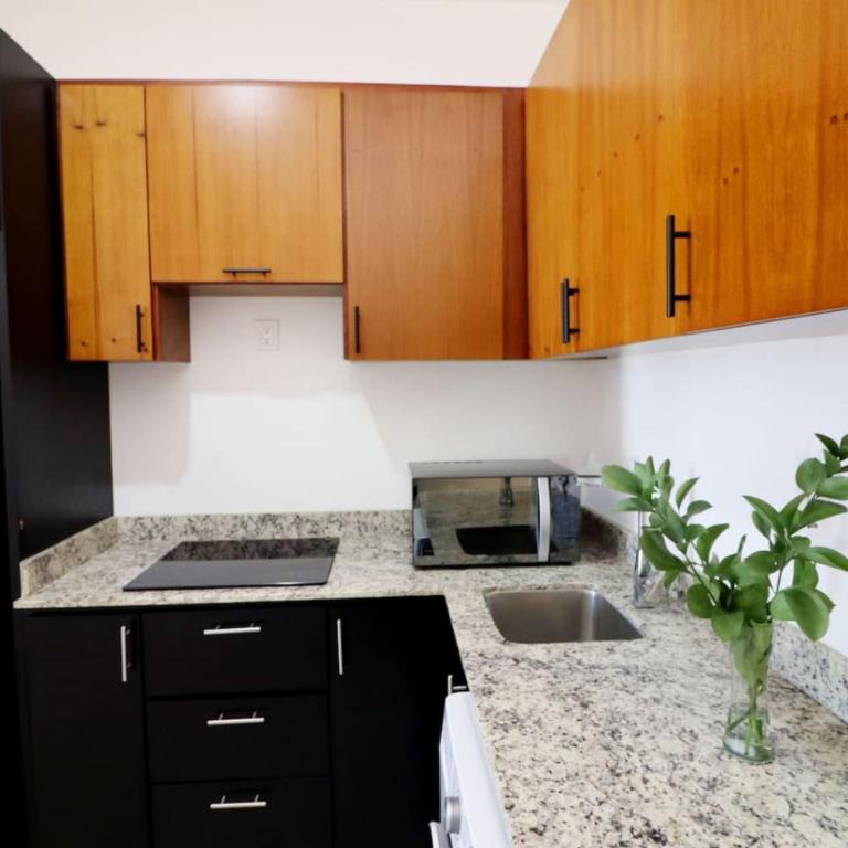 Acogedor departamento con balcon y alberca en roof - Apartamento - 20