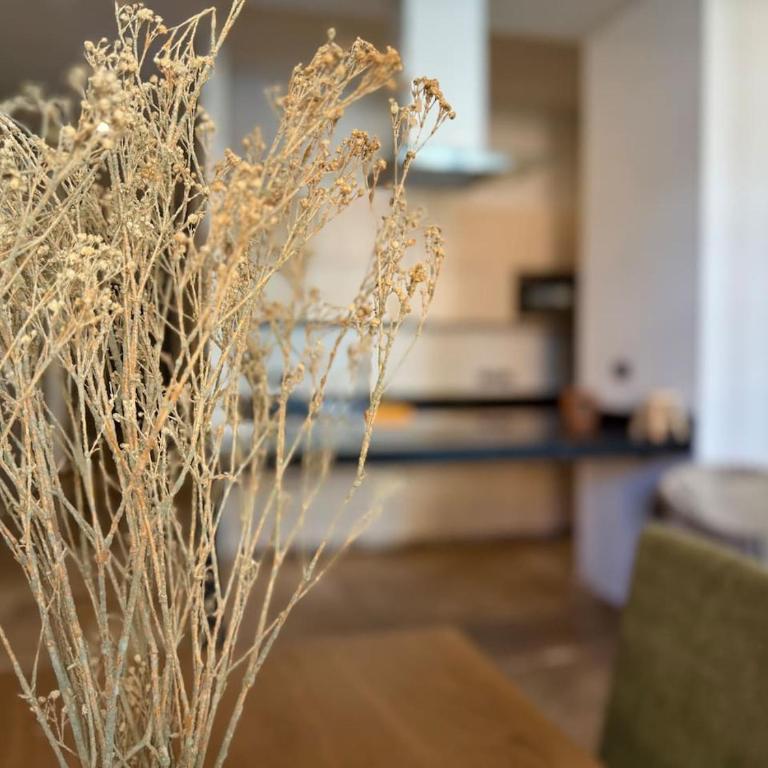 A pasos de la Playa y de Olas Altas, con Alberca - Apartamento - 18