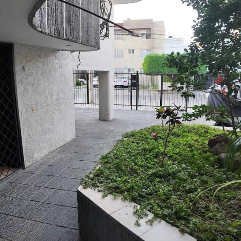Ground-Floor Apartment Near Expo GDL Central - One-Bedroom Apartment - 24