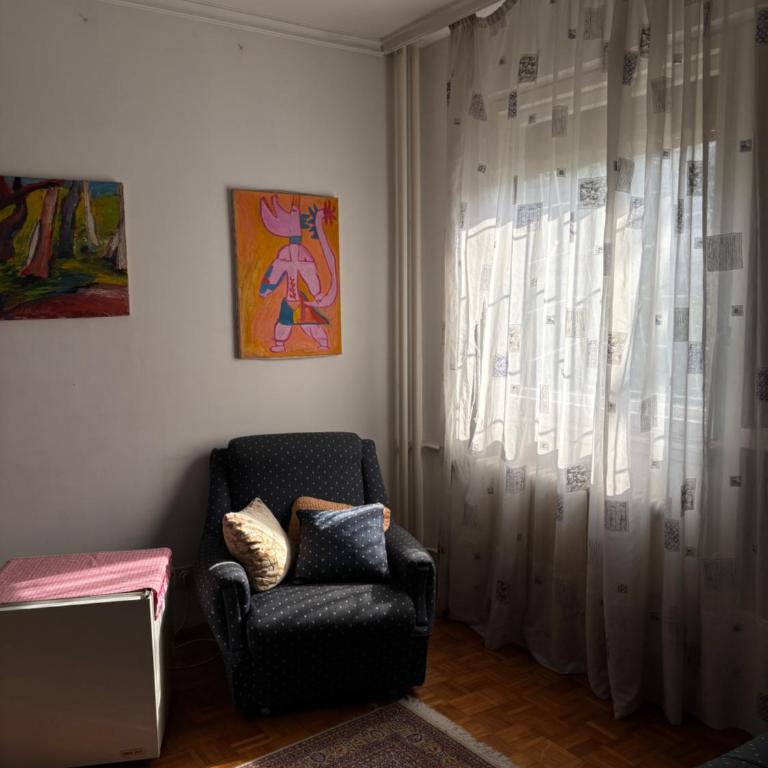 Sladjin stan blizu fona i Vma 15 minuta do hrama Svetog Save i kliničkog centra Srbije - Apartman sa 1 Spavaćom Sobom - 5