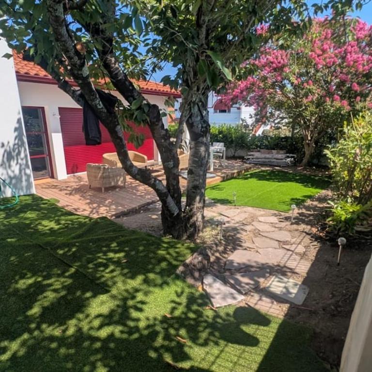 Spacious appartement with garden - Appartement 2 Chambres - 2