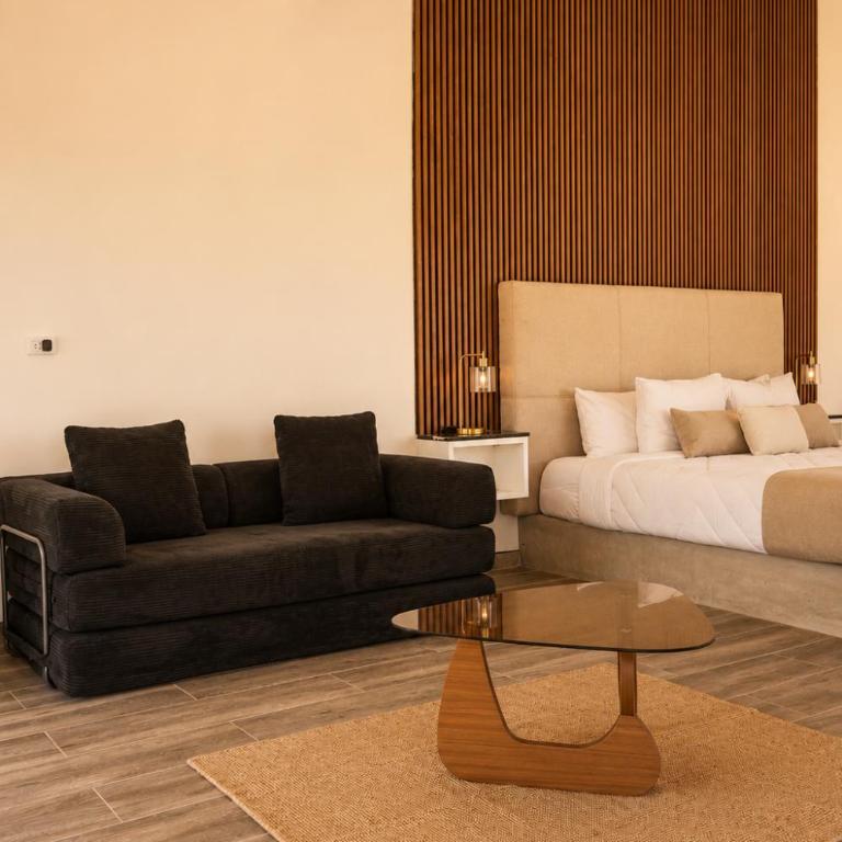 Sed de Valle-Valle de Guadalupe - Suite Deluxe - 20