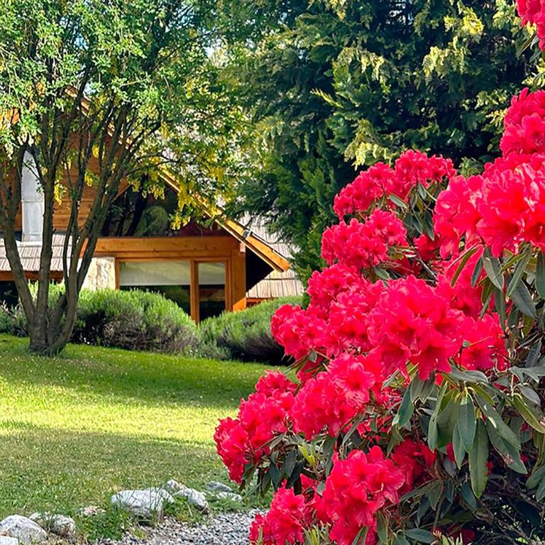 Tillka - Casas de Montaña - Bungalow Deluxe - 15