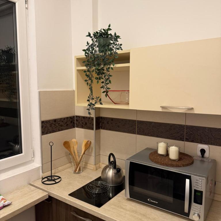 Balkanska Central Residence - Apartman sa 1 Spavaćom Sobom - 3