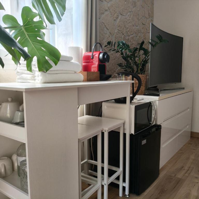Studio with private pool - Appartement 1 Chambre - 6