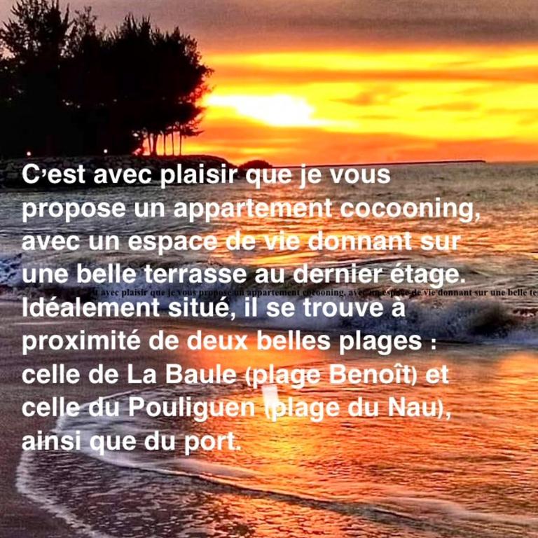 3Très Beau logement, idéalement situé , Plages, Port & Vélo à Disp - Appartement 1 Chambre - 41