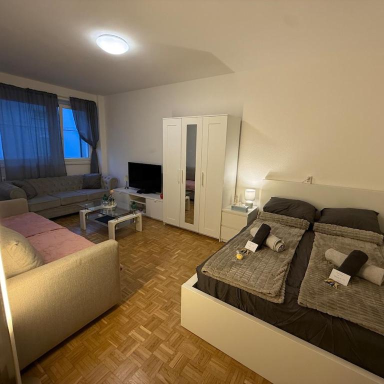 Studio cosy au cœur de Genève à proximité du lac et de la gare cornavin - Appartement 1 Chambre - 6