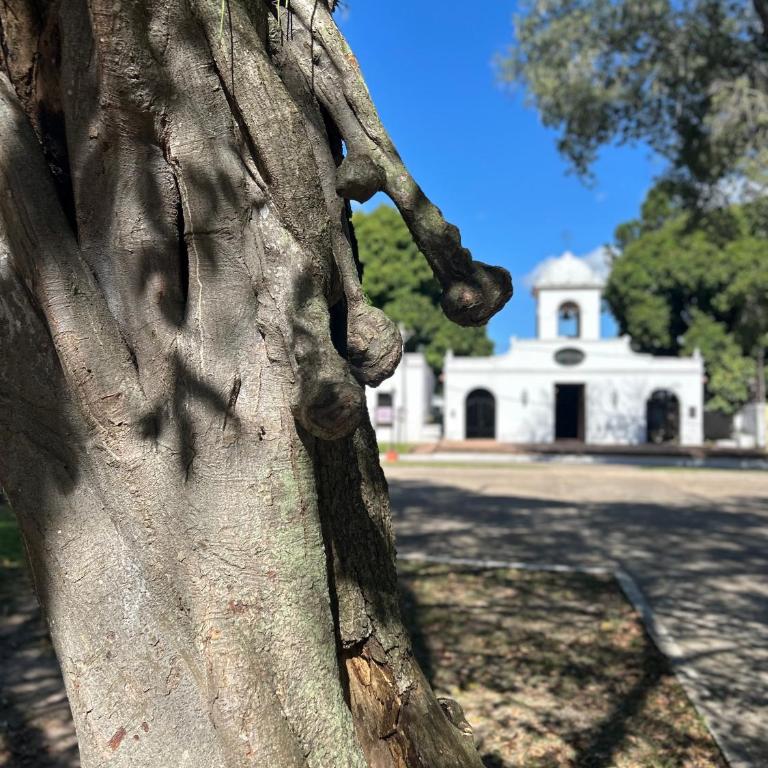 La Casa de Santa Ana - Villa de 1 dormitorio - 13
