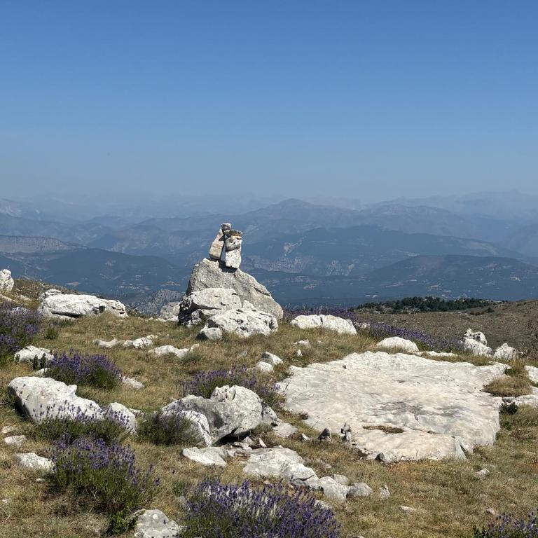 Parenthèse des cimes - Nature & Évasion - Studio - Vue sur Montagne - 13