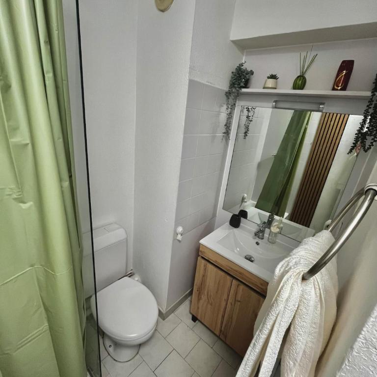 Studio climatisé proche du centre - 1 chambre - Appartement 2 Chambres - 13