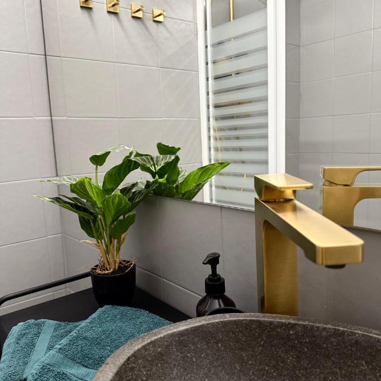 Chaletwohnung am See mit traumhaftem Bergblick - Apartment mit 2 Schlafzimmern - 10