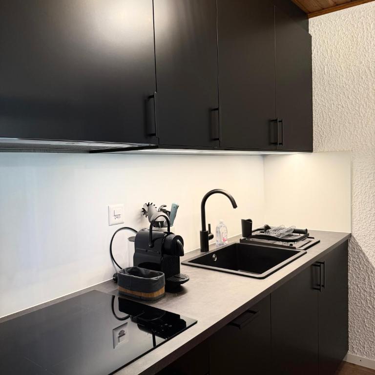 Chaletwohnung am See mit traumhaftem Bergblick - Apartment mit 2 Schlafzimmern - 11