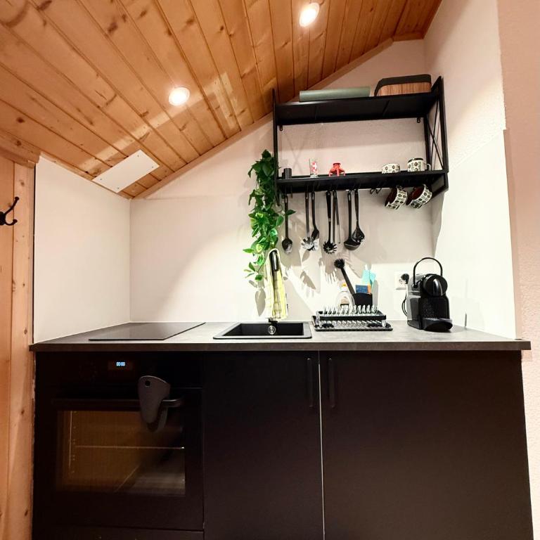 Studio mit traumhafter Aussicht auf den See - Apartment mit 2 Schlafzimmern - 4