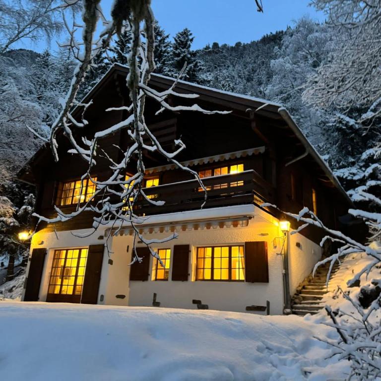 Studio mit traumhafter Aussicht auf den See - Apartment mit 2 Schlafzimmern - 9