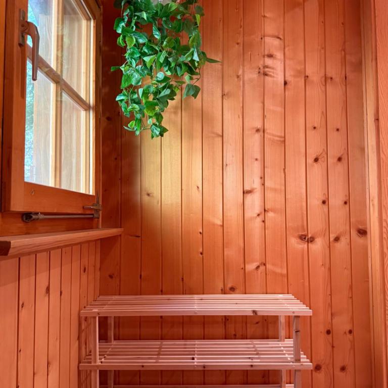 Studio mit traumhafter Aussicht auf den See - Apartment mit 2 Schlafzimmern - 10