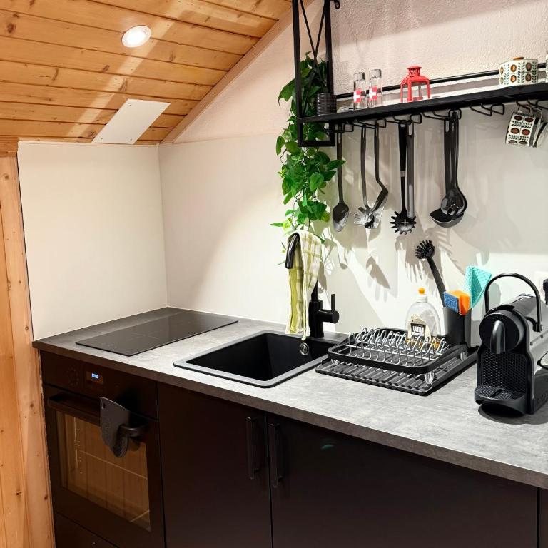Studio mit traumhafter Aussicht auf den See - Apartment mit 2 Schlafzimmern - 5