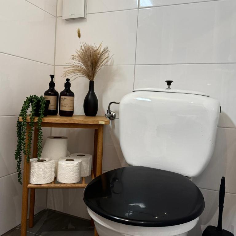 Studio mit traumhafter Aussicht auf den See - Apartment mit 2 Schlafzimmern - 7