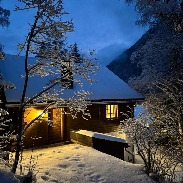 Studio mit traumhafter Aussicht auf den See - Apartment mit 2 Schlafzimmern - 18