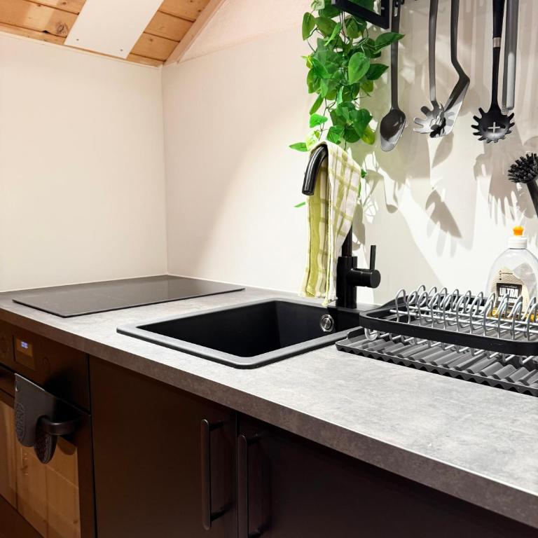 Studio mit traumhafter Aussicht auf den See - Apartment mit 2 Schlafzimmern - 19