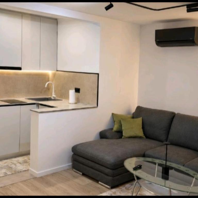 Olympic Lane Villa - Apartman sa 1 Spavaćom Sobom - 4
