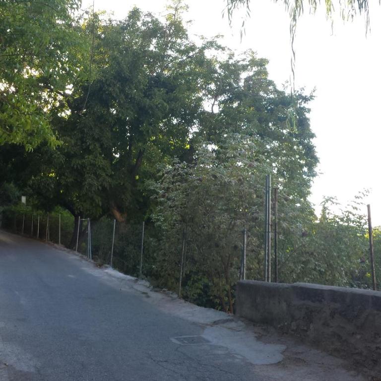 Alojamiento rural La Casilla - One-Bedroom House - 19