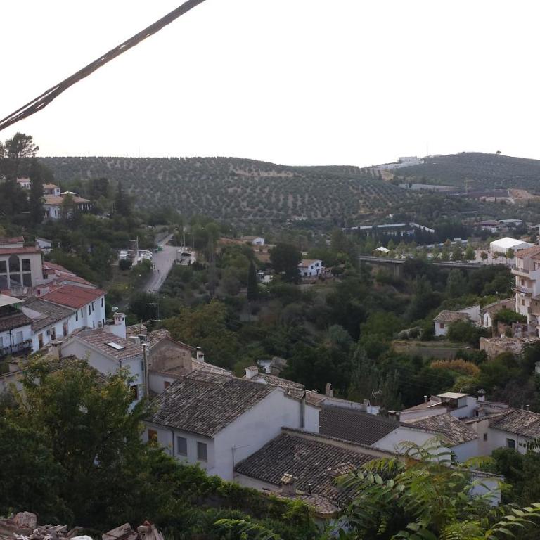 Alojamiento rural La Casilla - One-Bedroom House - 20