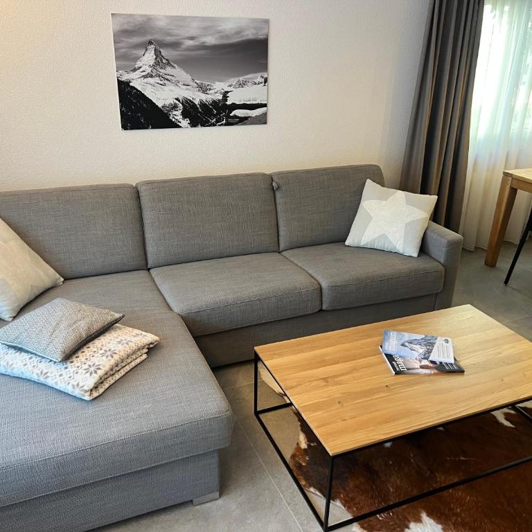 Cosy Modern Alpine Residence - Apartamento de 1 dormitorio - 3