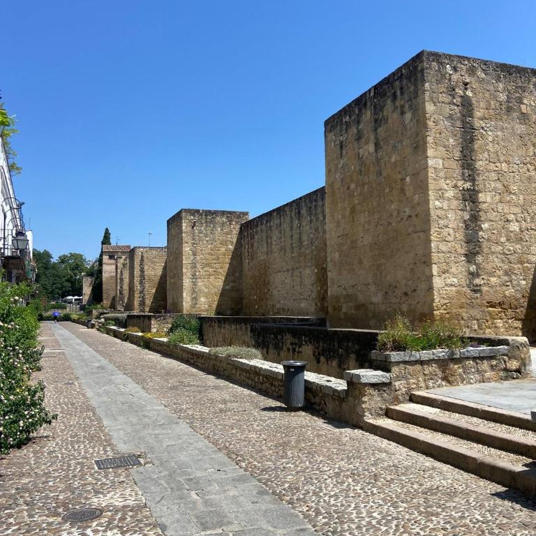 Casco Historico Muralla y Arroyo Córdoba - Appartamento - 1